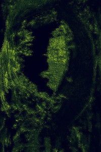 Poster for A Letter Found Inside a Mentholatum Little Box