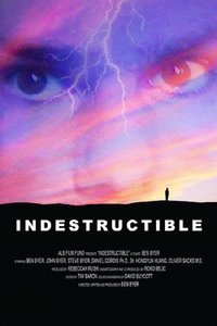 Poster for Indestructible