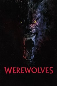 Poster 21