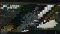 Backdrop 76
