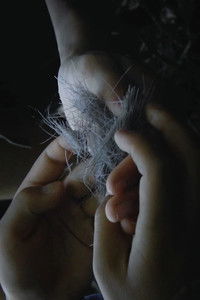 Poster for To This Buried Place