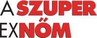 Logo 13