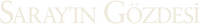 Logo 25