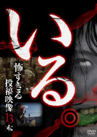 Poster for 「Iru.」~ Kowasugiru Tōkō Eizō 13-hon ~ Vol.1
