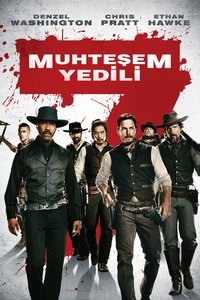 Poster 17