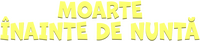 Logo 12