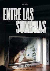 Poster for Entre las sombras