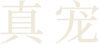 Logo 15