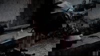 Backdrop 7