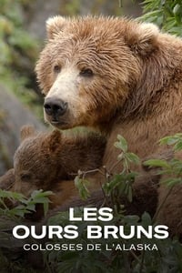 Les ours bruns, colosses de l’Alaska