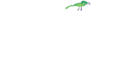 Logo 0