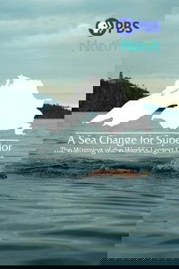A Sea Change for Superior: The Warming of the World's Largest Lake