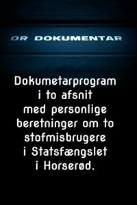 Poster for Pigerne i Horserød