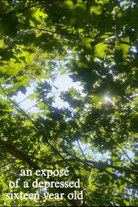 an exposé of a depressed sixteen year old