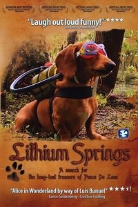 Poster for Lithium Springs