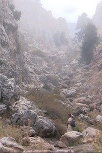 Poster for Wadi Jhannam