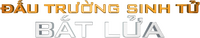 Logo 17