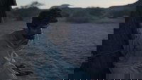 Backdrop 9