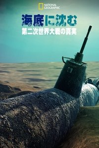 Poster 7