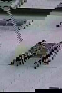 L'art de la fugue