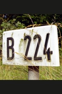 Poster for B 224