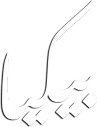 Logo 3