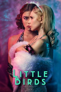 Poster for Little Birds