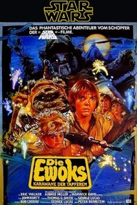 Poster 29