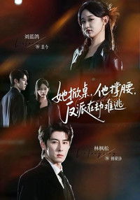 Poster for 她掀桌，他撑腰，反派在劫难逃