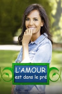 Poster for L'amour est dans le pré