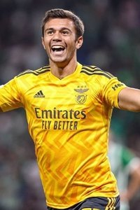 Profile of Henrique Araújo