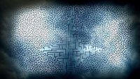 Backdrop 62