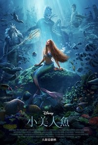 Poster 24