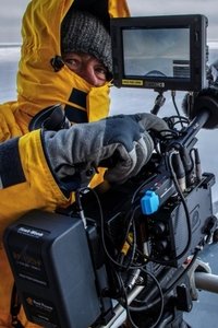 Profile of David Baillie