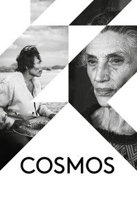 Poster for Cosmos