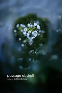 Poster for paysage abstrait