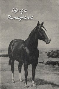 Poster for Life of a Thoroughbred