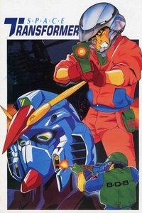 Poster for Space Transformer