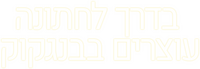 Logo 13