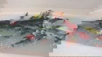 Backdrop 0