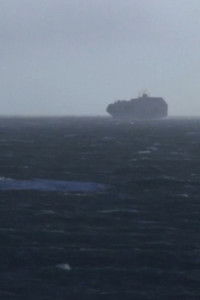 Poster for (In)continente