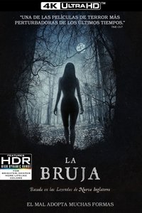 Poster 40