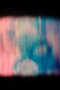 Poster for Films with Flowers or Memories with Camellias