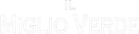 Logo 16