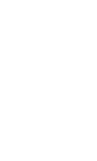 Logo 29