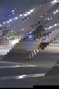 Robber South