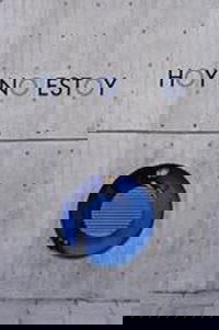 Hoy no estoy