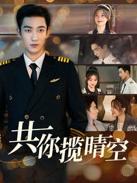 Poster for 共你揽晴空