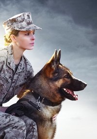 Poster 32