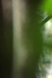 Poster for Inhabit, receive, resist